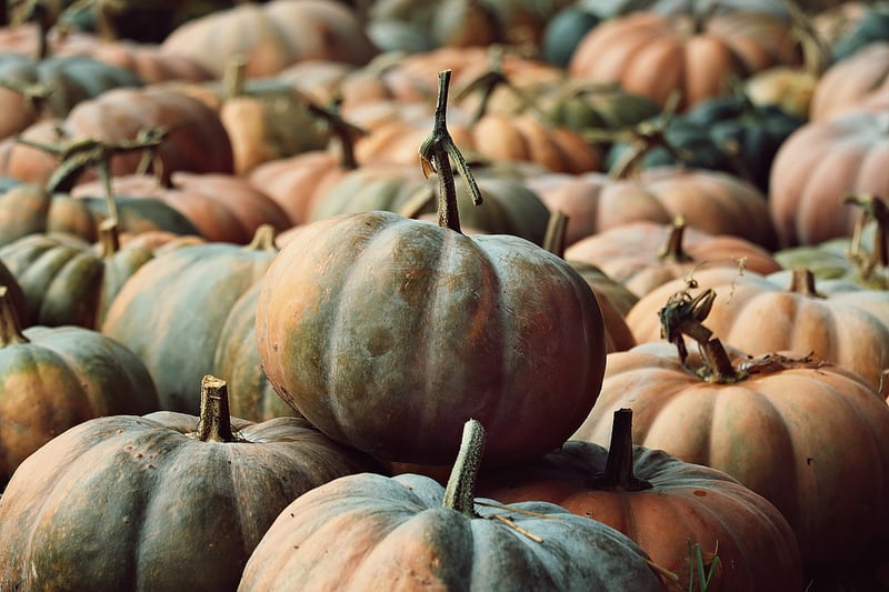 Autumn Harvest